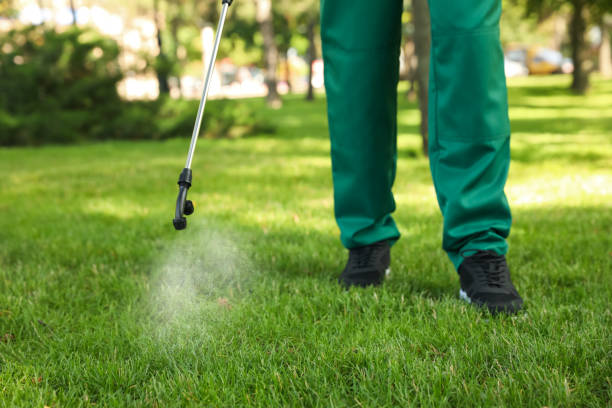 Best Pest Removal Services  in St Rose, LA
