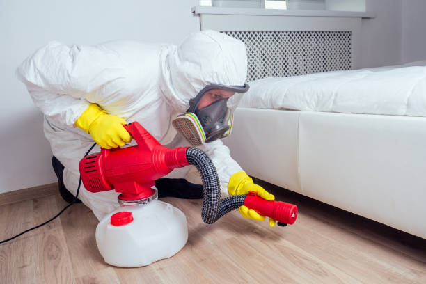 Best Wasp Removal Services  in St Rose, LA