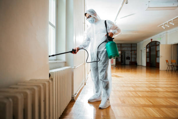 Trusted St Rose, LA Pest Control Experts